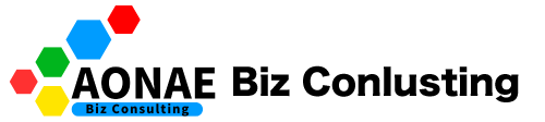AONAE Biz Consulting